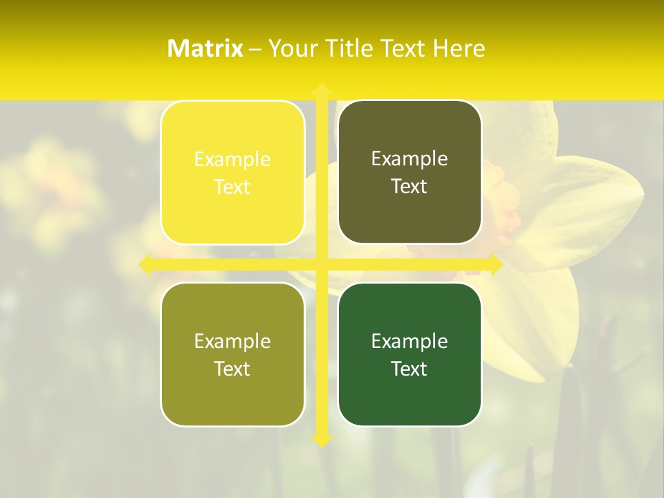 Parent Old Single PowerPoint Template