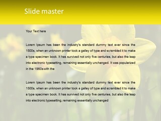 Parent Old Single PowerPoint Template