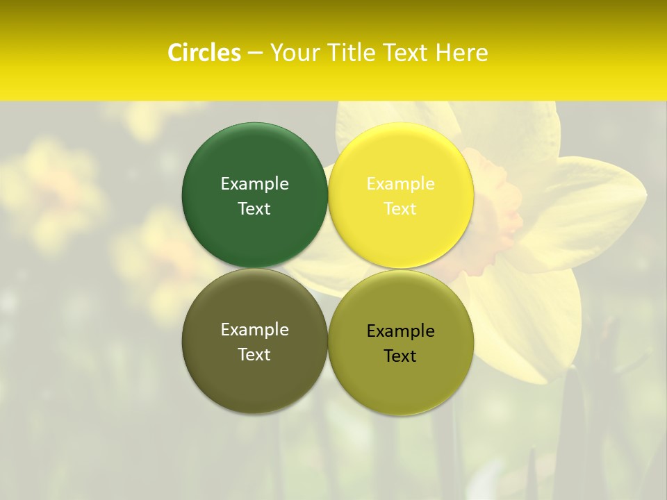 Parent Old Single PowerPoint Template