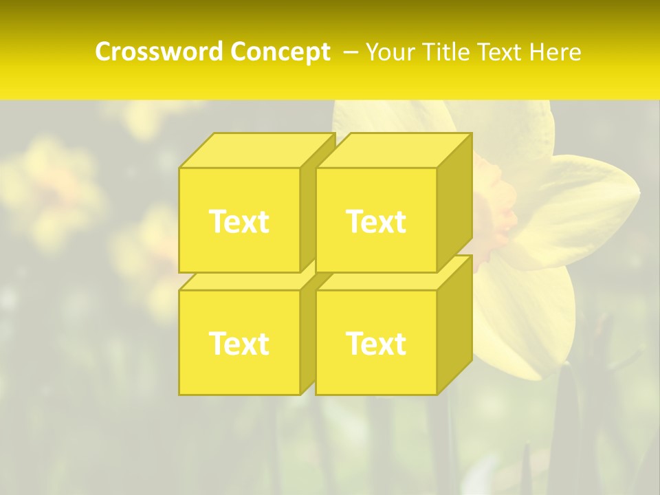 Parent Old Single PowerPoint Template