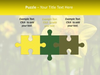 Parent Old Single PowerPoint Template