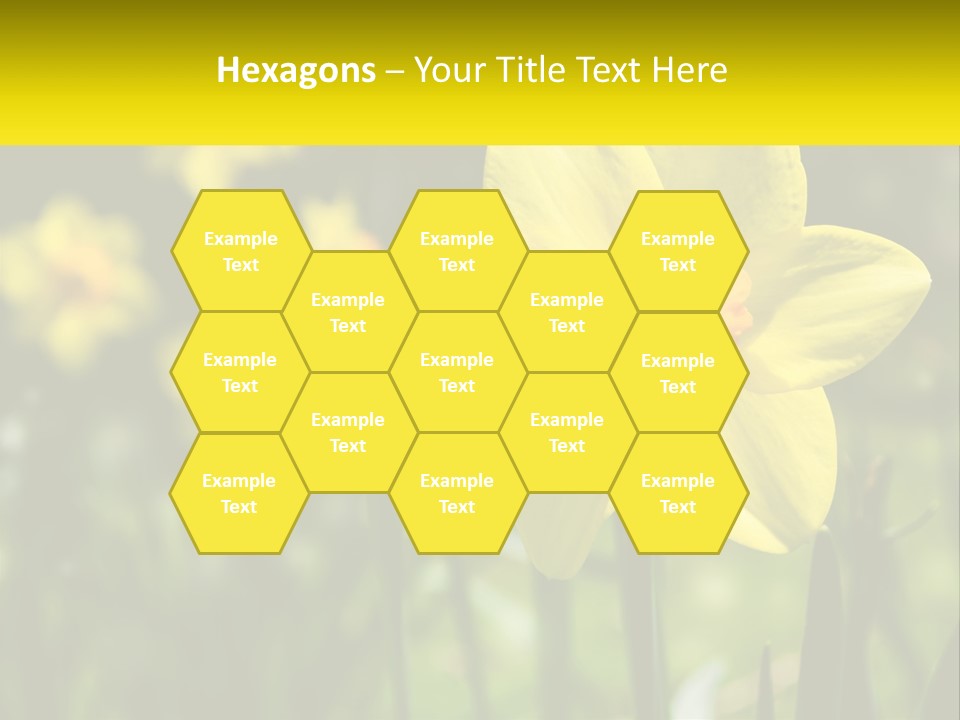 Parent Old Single PowerPoint Template