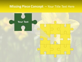 Parent Old Single PowerPoint Template