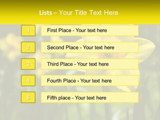 Parent Old Single PowerPoint Template