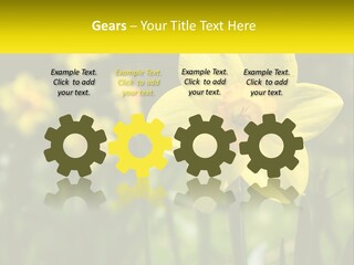 Parent Old Single PowerPoint Template