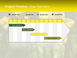 Parent Old Single PowerPoint Template