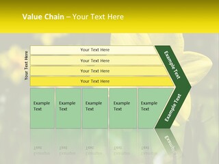 Parent Old Single PowerPoint Template