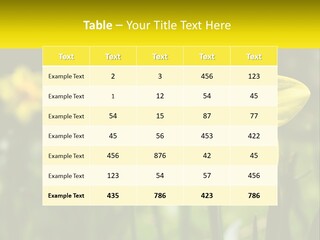 Parent Old Single PowerPoint Template