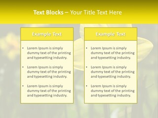 Parent Old Single PowerPoint Template