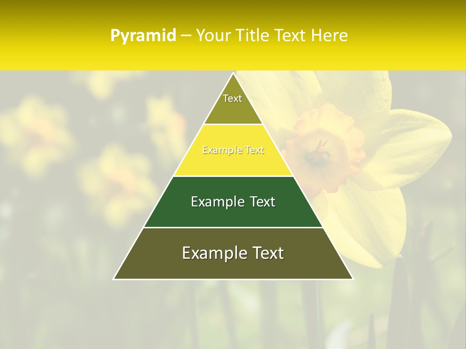 Parent Old Single PowerPoint Template