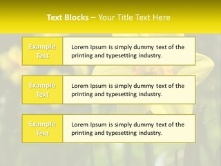 Parent Old Single PowerPoint Template