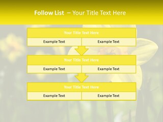 Parent Old Single PowerPoint Template