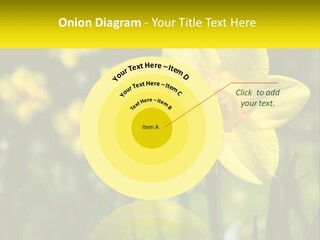 Parent Old Single PowerPoint Template