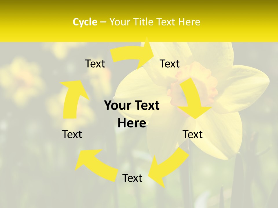 Parent Old Single PowerPoint Template