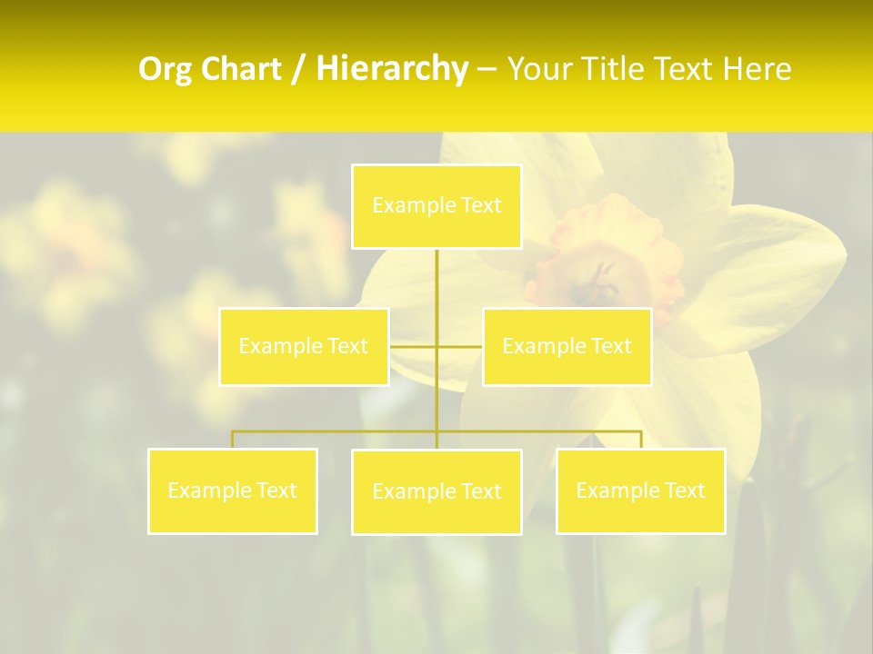 Parent Old Single PowerPoint Template