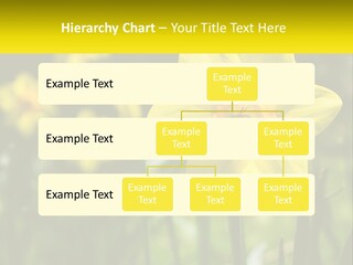 Parent Old Single PowerPoint Template