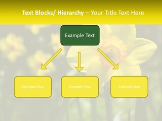 Parent Old Single PowerPoint Template