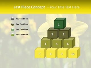Parent Old Single PowerPoint Template