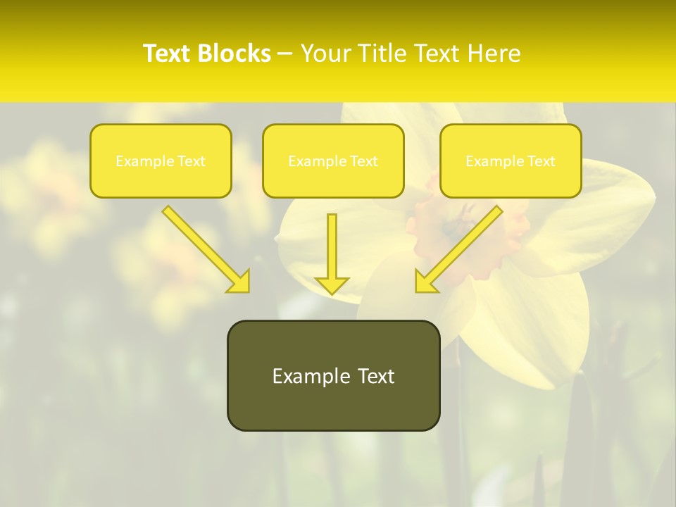 Parent Old Single PowerPoint Template