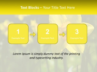 Parent Old Single PowerPoint Template