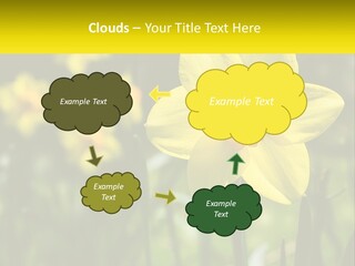 Parent Old Single PowerPoint Template