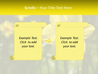 Parent Old Single PowerPoint Template