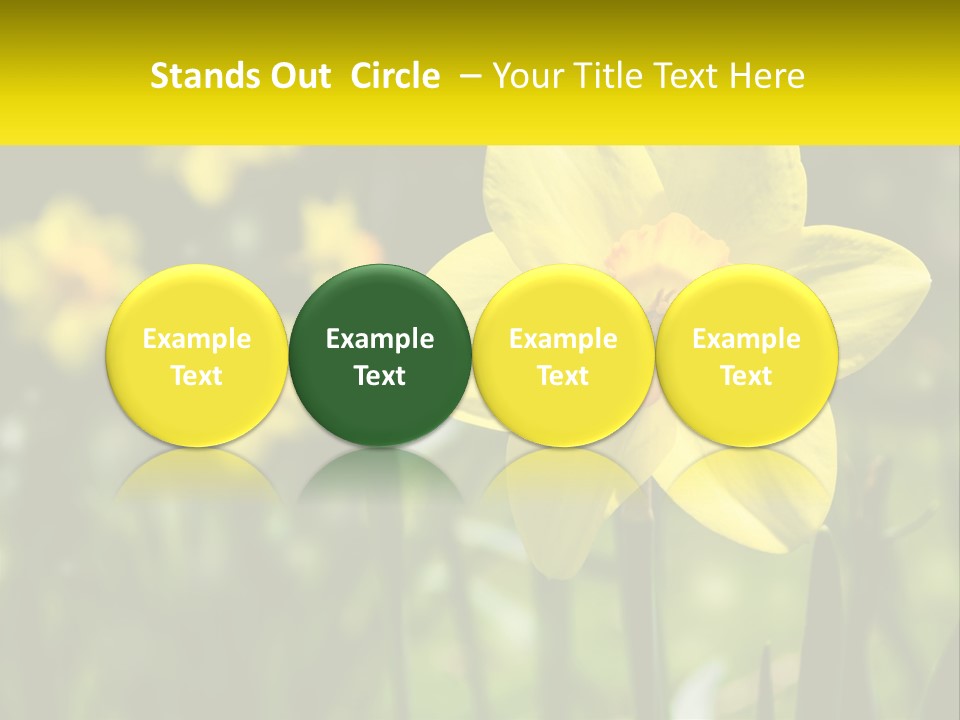 Parent Old Single PowerPoint Template