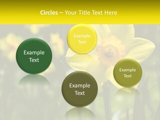 Parent Old Single PowerPoint Template