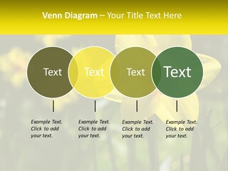 Parent Old Single PowerPoint Template