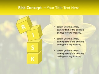 Parent Old Single PowerPoint Template