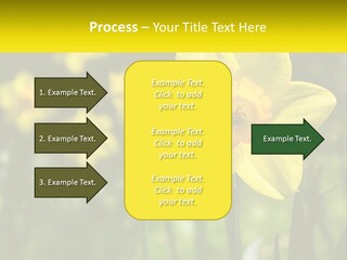 Parent Old Single PowerPoint Template