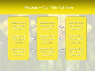 Parent Old Single PowerPoint Template