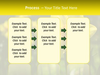 Parent Old Single PowerPoint Template