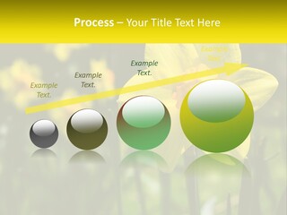 Parent Old Single PowerPoint Template