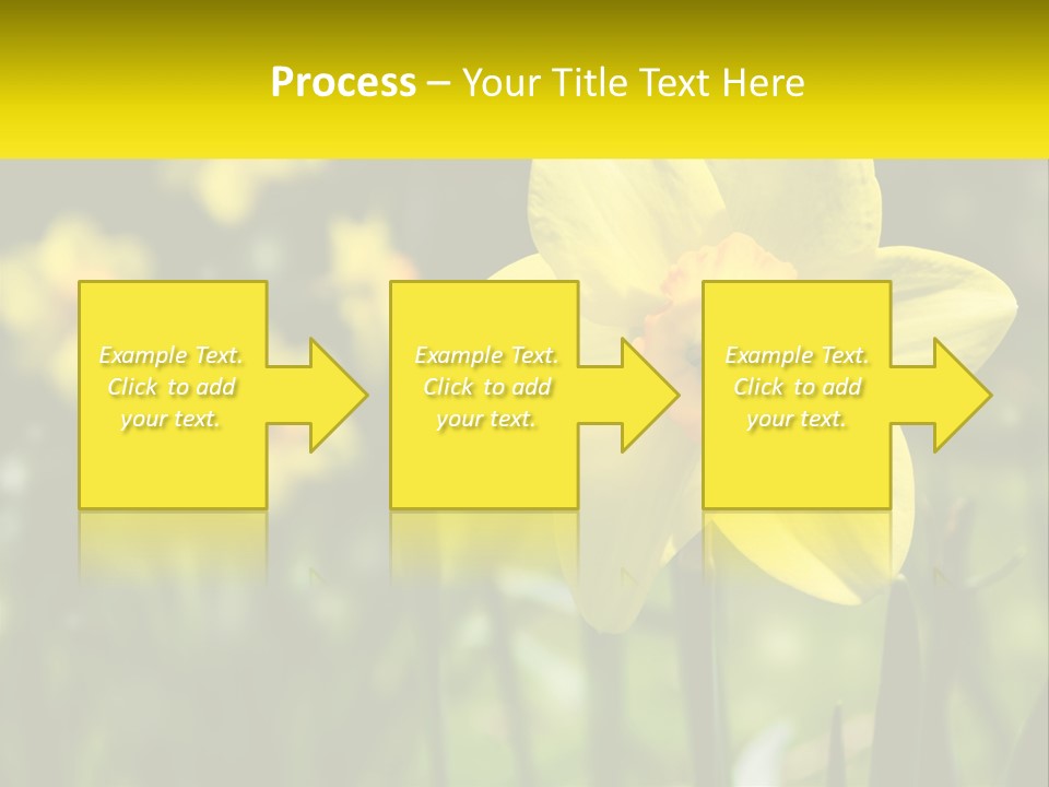 Parent Old Single PowerPoint Template