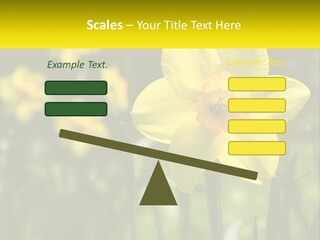 Parent Old Single PowerPoint Template