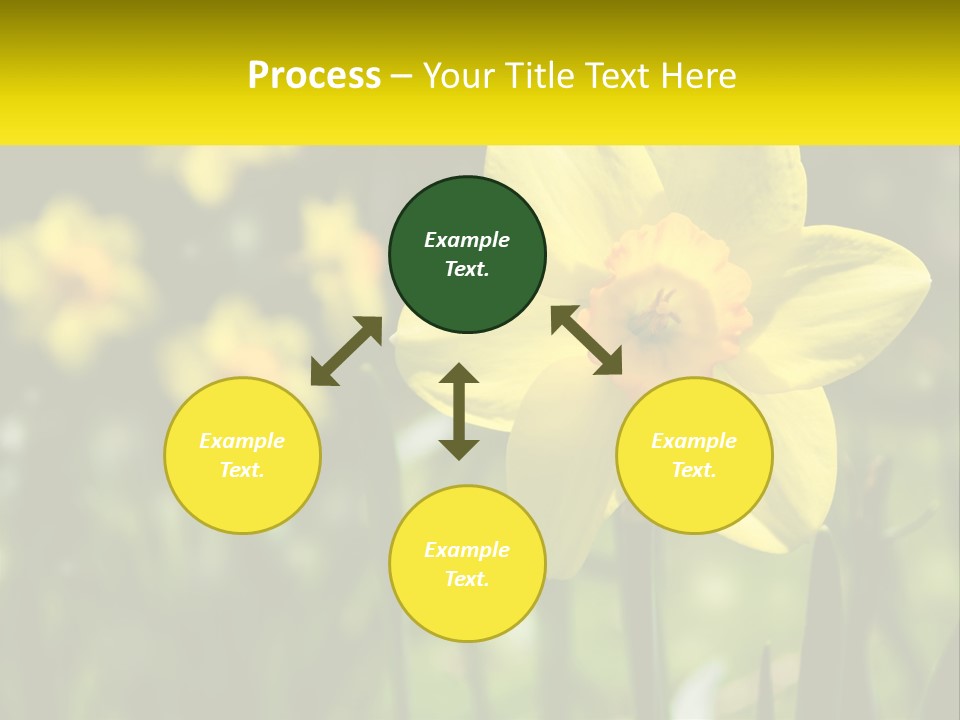 Parent Old Single PowerPoint Template