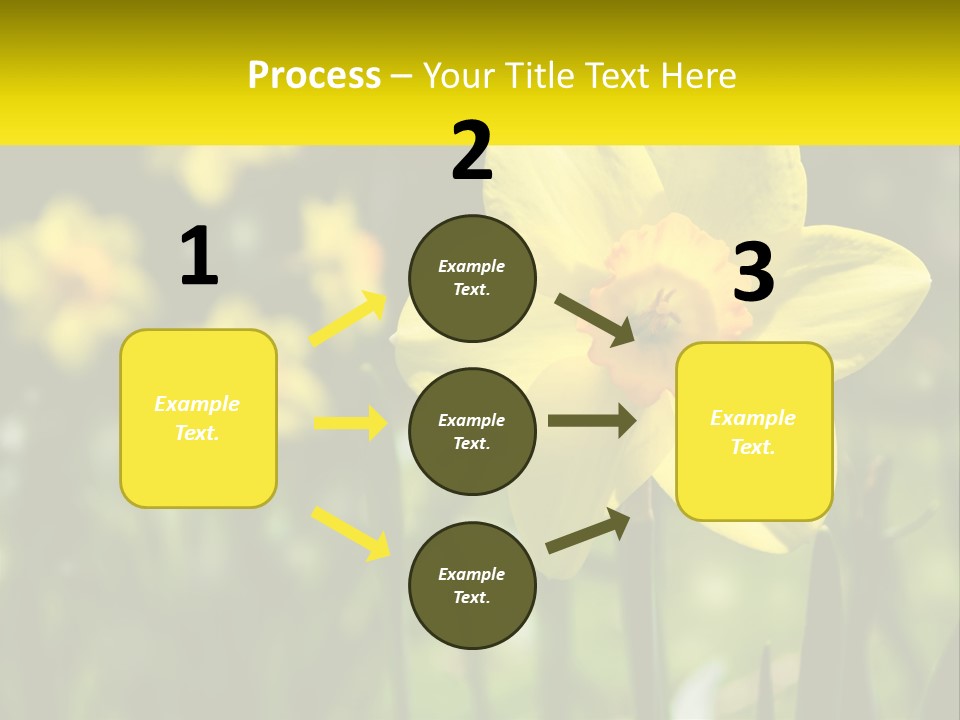 Parent Old Single PowerPoint Template