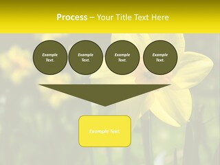 Parent Old Single PowerPoint Template