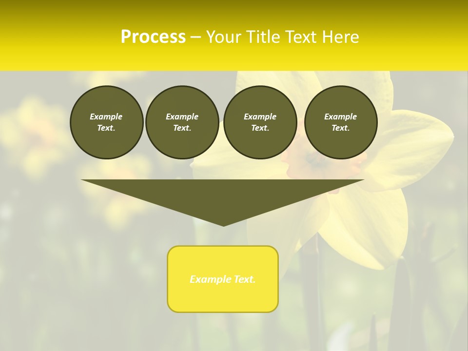 Parent Old Single PowerPoint Template