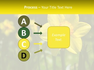 Parent Old Single PowerPoint Template