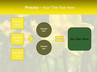 Parent Old Single PowerPoint Template