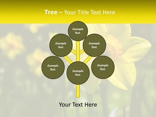 Parent Old Single PowerPoint Template