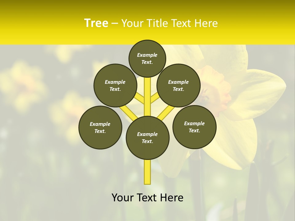 Parent Old Single PowerPoint Template