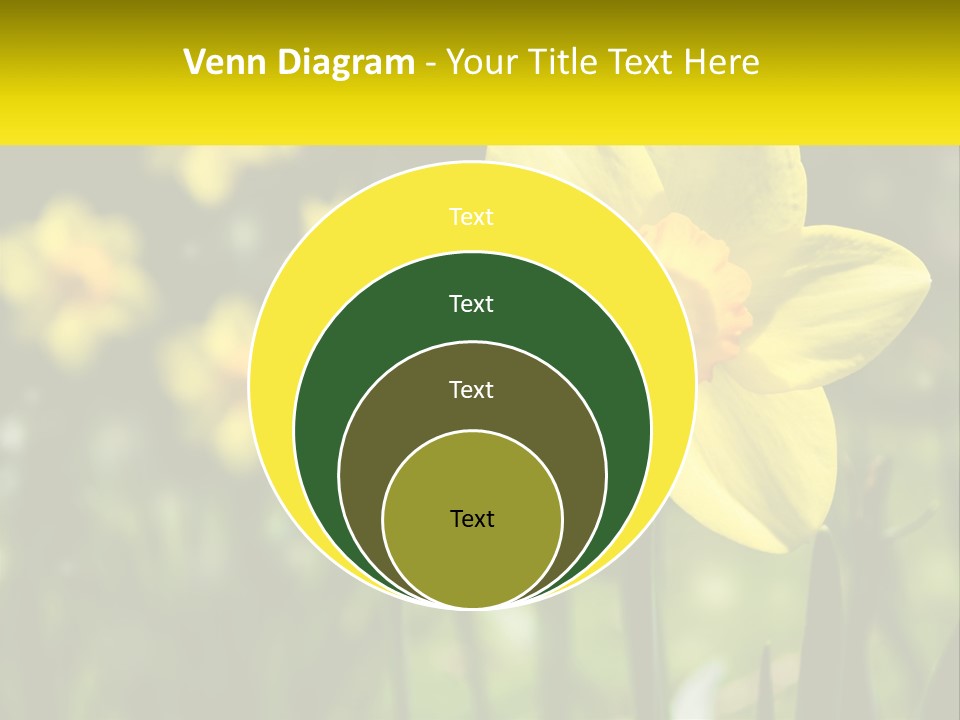 Parent Old Single PowerPoint Template