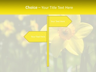 Parent Old Single PowerPoint Template