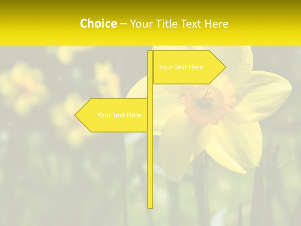 Parent Old Single PowerPoint Template