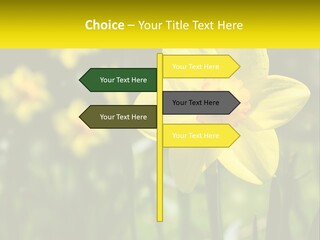 Parent Old Single PowerPoint Template
