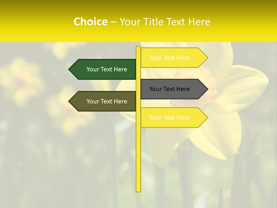 Parent Old Single PowerPoint Template
