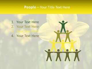 Parent Old Single PowerPoint Template